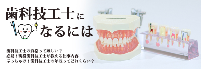 歯科技工士になるには|・国家資格って難しい?・必見!現役歯科技工士が教える仕事内容・ぶっちゃけ!歯科技工士の年収ってどれくらい?